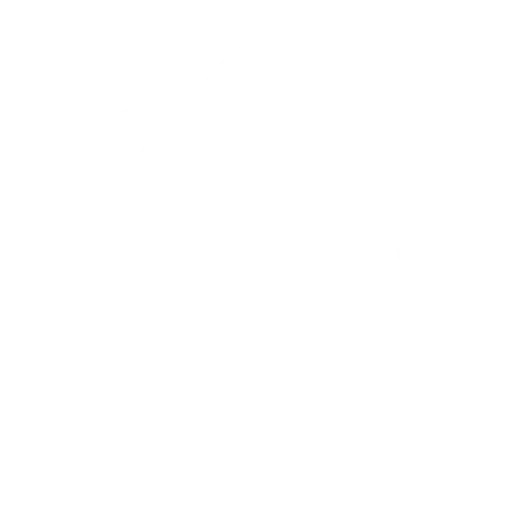 R-Allys-Logo-2104-(White)